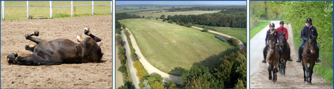 Bilderleiste Gastpferde unten