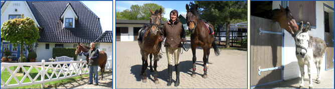 Bilderleiste Haus und Hof unten