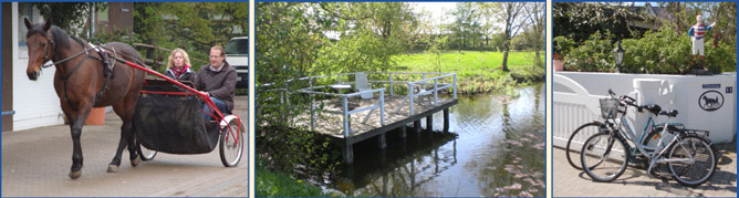 Bilderleiste Hofaktivitäten unten