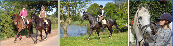 Bilderleiste Reiten oben