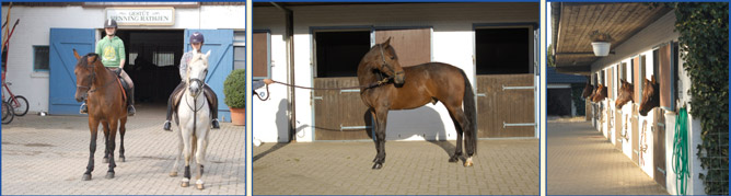 Bilderleiste Stallungen oben