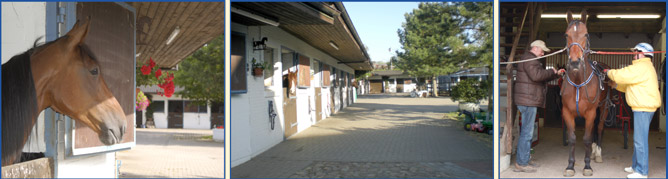 Bilderleiste Stallungen unten