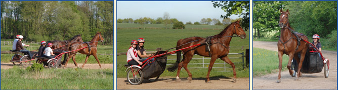 Bilderleiste Westerland oben