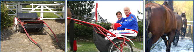 Bilderleiste Training oben