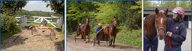 Bilderleiste Training unten