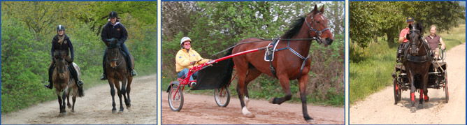 Bilderleiste Trainingsbahn unten